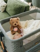 Free2Play Jucarie multifuncionala cu proiector muzical Bear din plus cu 7 modele de proiectie sunete si melodii