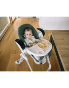 FreeON Scaun de masa si balansoar 2 in 1 Oli Deluxe Pistachio transformabil multifunctional cu melodii de leagan 0 luni+