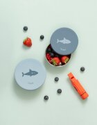 Fresk Set 2 recipiente pentru gustari Shark