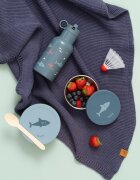 Fresk Set 2 recipiente pentru gustari Shark