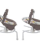 GRACO Balansoar 2 in 1 Duet Sway Bear Tales