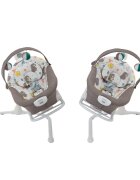 GRACO Balansoar 2 in 1 Duet Sway Bear Tales