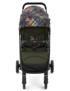 GRACO Carucior Breaze Lite 2 Couture Fern
