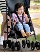 GRACO Carucior EZLite mint