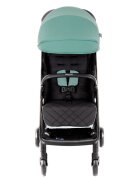 GRACO Carucior Myavo Mint