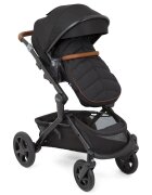 GRACO Carucior Near2Me Elite Noir