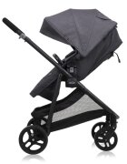 GRACO Carucior Transform 2 in 1 Slate