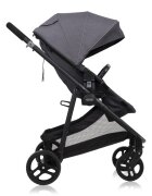 GRACO Carucior Transform 2 in 1 Slate