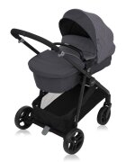 GRACO Carucior Transform 2 in 1 Slate