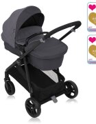 GRACO Carucior Transform 2 in 1 Slate