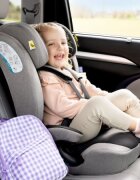 GRACO Scaun auto Energi i-Size Meteor