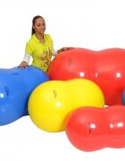 Gymnic Minge aluna fizioterapeutica Physio albastru diametru 30 cm