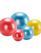 Gymnic Minge fizioterapeutica Body Ball BRQ Albastru diametru 95 cm