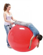 Gymnic Minge fizioterapeutica Physio Rosie diametru 120 cm
