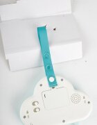 HAPE Jucarie muzicala Nor muzical cu lumini