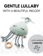 HAUCK Jucarie muzicala soft touch Cuddle N Sleep Jellyfish