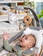 InGenuity Balansoar 2 in 1 Bella Teddy