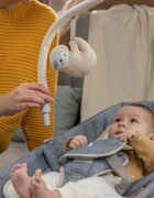 InGenuity Balansoar cu functie de masaj Happy Belly Rock to Bounce Parker