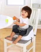 InGenuity Booster Toddler Slate