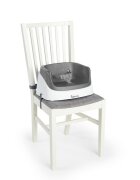 InGenuity Booster Toddler Slate