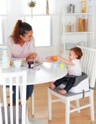 InGenuity Booster Toddler Slate