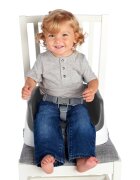 InGenuity Booster Toddler Slate