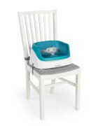 InGenuity Booster Toddler SmartClean Peacock Blue