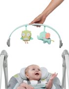 InGenuity Leagan portabil Swing n Go Portable Swing Hugs Hoots