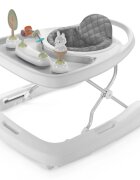 InGenuity Premergator 3 in 1 Step Sprout First Forest