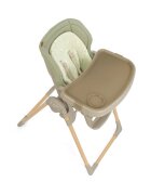 JANE Scaun de masa si balansoar Mila 2 in 1 transformabil si multifunctional 0 luni+ Sage