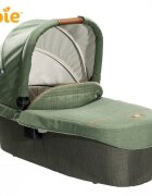 JOIE Carucior multifunctional 2 in 1 Finiti Signature Pine