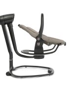 JOIE Leagan si balansoar rotativ 2 in 1 Serina Hazelnut