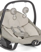 JOIE Leagan si balansoar rotativ Serina 2 in 1 Speckled