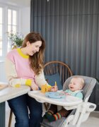 JOIE Scaun de masa Mimzy Recline Strata Dune Wood spatar reglabil in 5 pozitii inaltime ajustabila si tavita reglabiladetasabila centuri greutate suportata 15 kg