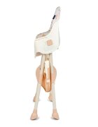 Juju Scaun de masa 2 in 1 EatSmile Birds