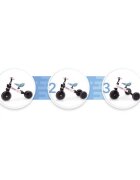 Kidwell Tricicleta pentru copii Pico Spring Flower cu pedale 3 in 1 scaun reglabil pe inaltime reglarea in 3 trepte a distantei dintre ghidon si copil potrivita pentru inaltimea unui copil 90 - 124 cm