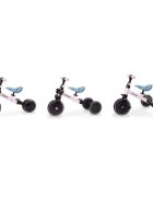 Kidwell Tricicleta pentru copii Pico Spring Flower cu pedale 3 in 1 scaun reglabil pe inaltime reglarea in 3 trepte a distantei dintre ghidon si copil potrivita pentru inaltimea unui copil 90 - 124 cm