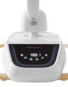 KikkaBoo Leagan electric cu leganare laterala telecomanda si carusel BeeMoove Bej