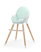 KINDERKRAFT Scaun de masa 2 in 1 Fini mint