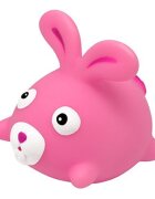 KNORR TOYS Set de baie 4 piese include covoras de baie din PVC 69x39 cm si 3 jucarii animalute 6 luni+