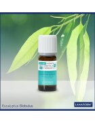 Lanaform Ulei organic cu aroma de eucalipt pentru camera
