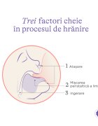 Lansinoh Pachet 2 biberoane cu tetina NaturalWave 160 ml