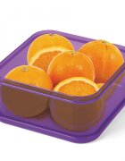 Lebez Set 4 caserole pranz din tritan transparent