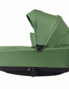 Leclerc Landou Green