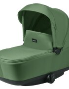 Leclerc Landou Green