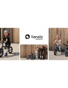 Lionelo Bicicleta copii fara pedale Bart Air green forest 12 inch cu roti gonflabile constructie din magneziu greutate foarte mica scaun si ghidon reglabile pe inaltime greutate maxima suportata 30 kg