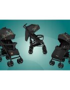 Lionelo Carucior sport Irma Dreamin Editie limitata Cu plasa de tantari Standard de siguranta EN1888-1 Negru
