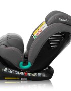 Lionelo Scaun auto cu isofix Bastiaan One i-Size 4 in 1 Roz