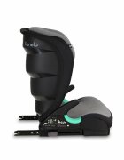 Lionelo Scaun auto i-Size Neal cu isofix 15-36 kg Grey Srone