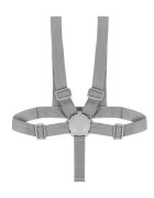 Lionelo Scaun de masa Dalia Gri 2 in 1 transformabil cu 2 suporturi pentru picioare tavita detasabila sustine 60 kg 6 luni+ conform cu EN14988